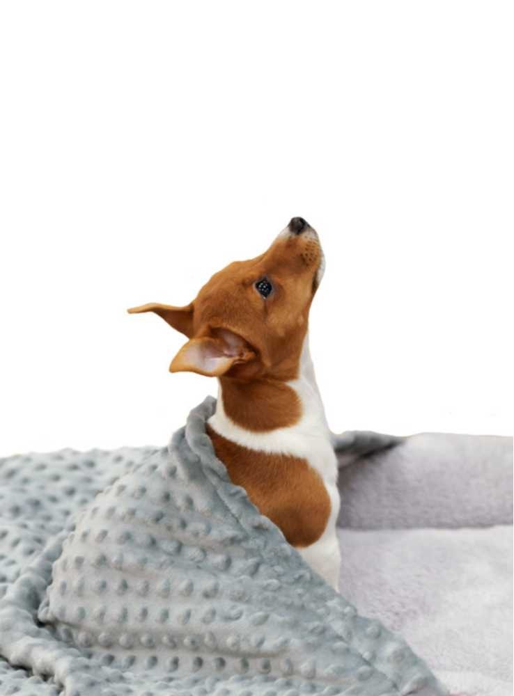 peave Sprællemand varme Hunde-sovepose til lille hund Snuggle