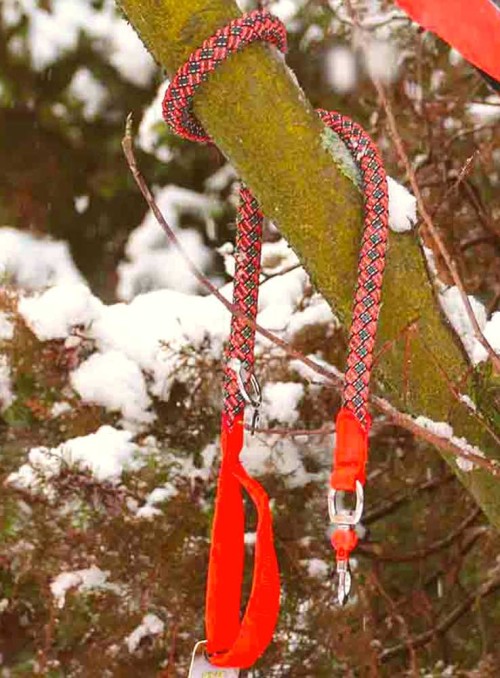 Outdoor hundeline orange Endurance